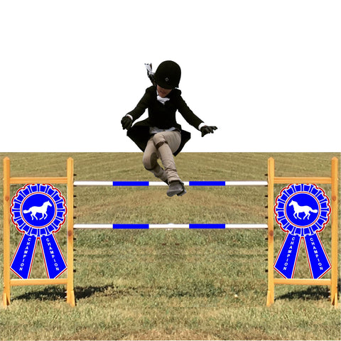 Blue Ribbon Kid Jump - Kids, Dogs, and Hobby Horses Love them!