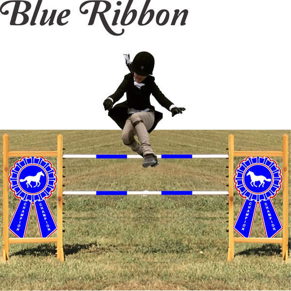 Blue Ribbon Kid Jump - Kids, Dogs, and Hobby Horses Love them!