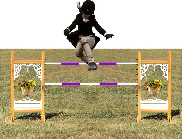 Wishing Well Kid Jump - Kids, Dogs, and Hobby Horses Love them!