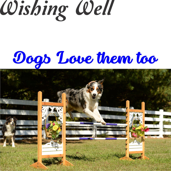 Wishing Well Kid Jump - Kids, Dogs, and Hobby Horses Love them!